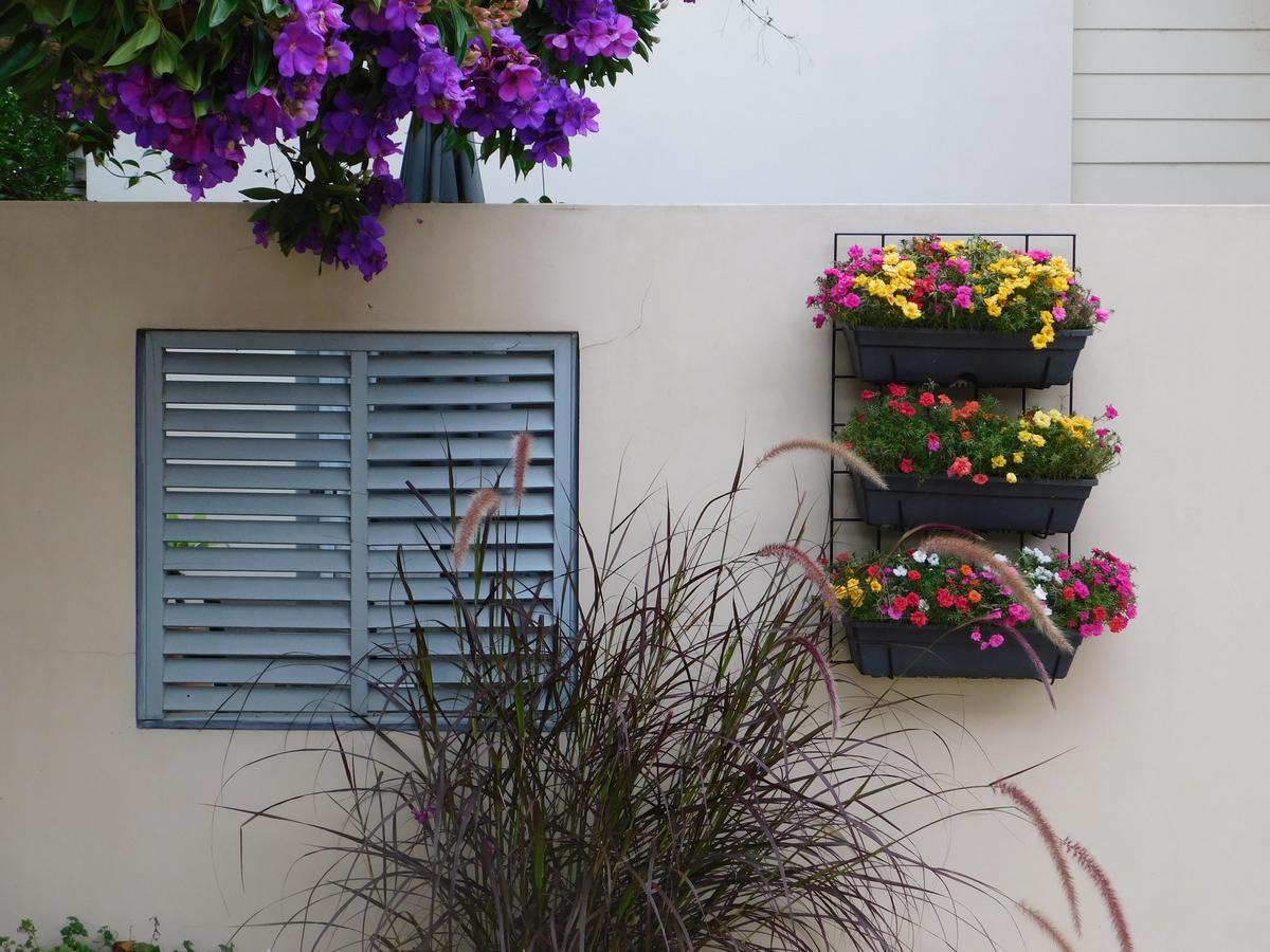 Beachport Bed & Breakfast Port Macquarie Dış mekan fotoğraf